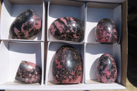 Polished Rhodonite Standing Free Forms x 6 From Madagascar - Toprock Gemstones and Minerals 