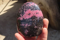 Polished Rhodonite Standing Free Forms x 6 From Madagascar - Toprock Gemstones and Minerals 