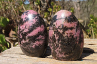 Polished Rhodonite Standing Free Forms x 6 From Madagascar - Toprock Gemstones and Minerals 