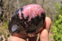 Polished Rhodonite Standing Free Forms x 6 From Madagascar - Toprock Gemstones and Minerals 