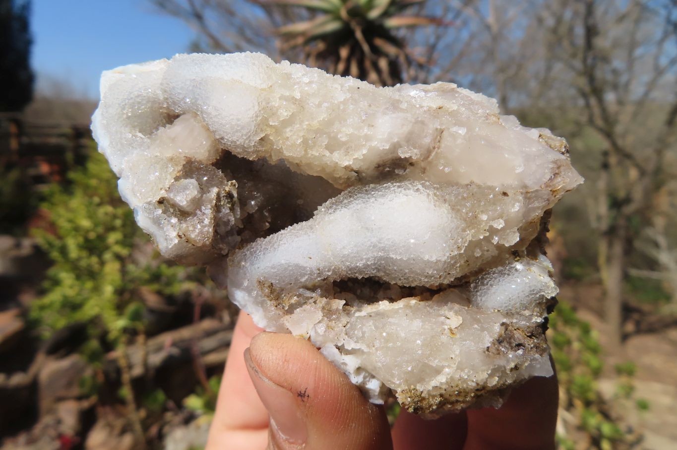 Natural Drusy Quartz Coated Calcite Pseudomorph Specimens x 12 From Alberts Mountain, Lesotho - Toprock Gemstones and Minerals 