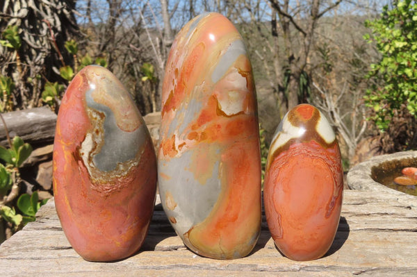 Polished Polychrome Jasper Standing Free Forms x 3 From Madagascar - Toprock Gemstones and Minerals 