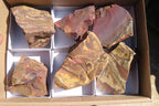 Natural Nguni Jasper Cobbed Specimens x 6 From Prieska, South Africa - Toprock Gemstones and Minerals 