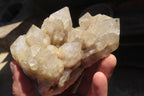 Natural Smokey Quartz Clusters x 2 From Luena, Congo - Toprock Gemstones and Minerals 
