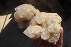 Natural Smokey Quartz Clusters x 2 From Luena, Congo - Toprock Gemstones and Minerals 