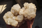 Natural Smokey Quartz Clusters x 2 From Luena, Congo - Toprock Gemstones and Minerals 
