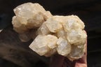 Natural Smokey Quartz Clusters x 2 From Luena, Congo - Toprock Gemstones and Minerals 