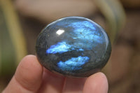 Polished Labradorite Galet / Palm Stones x 12 From Tulear, Madagascar - Toprock Gemstones and Minerals 