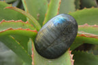 Polished Labradorite Galet / Palm Stones x 12 From Tulear, Madagascar - Toprock Gemstones and Minerals 