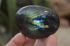 Polished Labradorite Galet / Palm Stones x 12 From Tulear, Madagascar - Toprock Gemstones and Minerals 