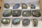 Polished Labradorite Galet / Palm Stones x 12 From Tulear, Madagascar - Toprock Gemstones and Minerals 