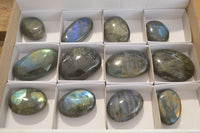 Polished Labradorite Galet / Palm Stones x 12 From Tulear, Madagascar - Toprock Gemstones and Minerals 