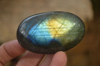 Polished Labradorite Galet / Palm Stones x 12 From Tulear, Madagascar - Toprock Gemstones and Minerals 