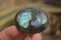 Polished Labradorite Galet / Palm Stones x 12 From Tulear, Madagascar - Toprock Gemstones and Minerals 