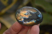 Polished Labradorite Galet / Palm Stones x 12 From Tulear, Madagascar - Toprock Gemstones and Minerals 