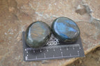 Polished Labradorite Galet / Palm Stones x 12 From Tulear, Madagascar - Toprock Gemstones and Minerals 