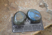 Polished Labradorite Galet / Palm Stones x 12 From Tulear, Madagascar - Toprock Gemstones and Minerals 