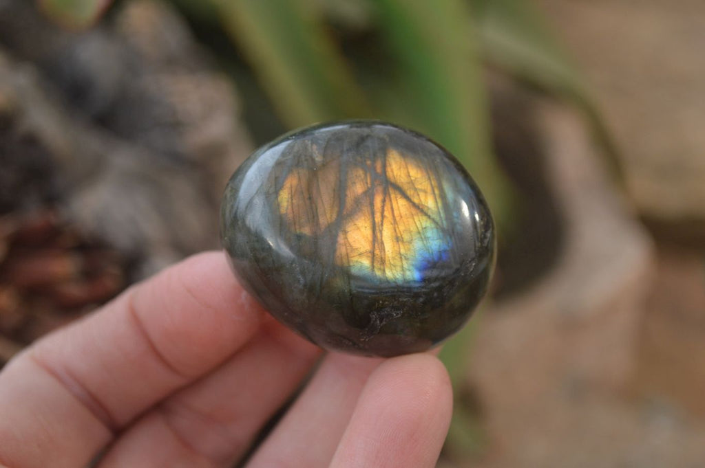 Polished Labradorite Galet / Palm Stones x 12 From Tulear, Madagascar - Toprock Gemstones and Minerals 