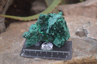 Natural Silky Malachite Specimens x 6 From Kasompe, Congo - Toprock Gemstones and Minerals 