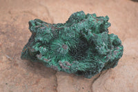 Natural Silky Malachite Specimens x 6 From Kasompe, Congo - Toprock Gemstones and Minerals 