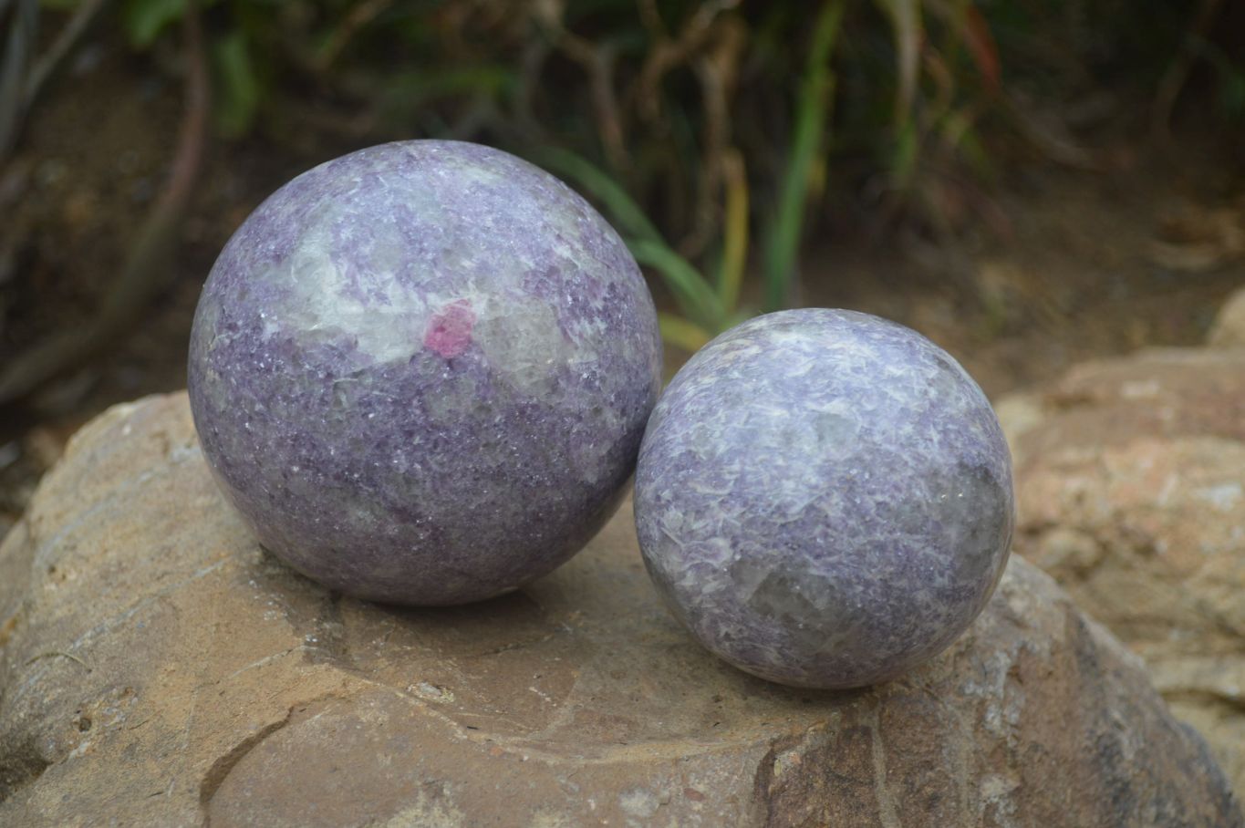 Polished Lepidolite Spheres x 2 From Madagascar - Toprock Gemstones and Minerals 