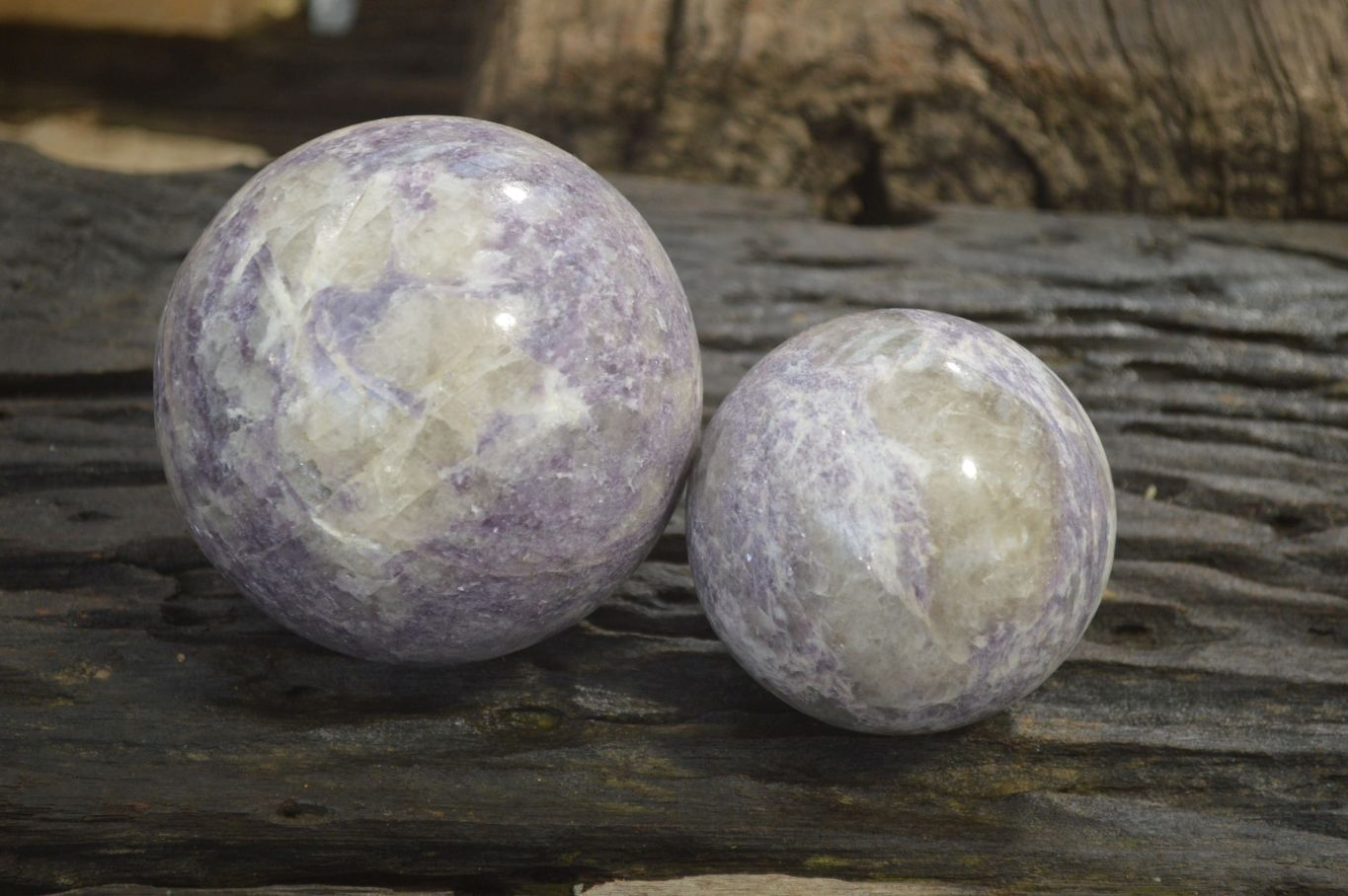 Polished Lepidolite Spheres x 2 From Madagascar - Toprock Gemstones and Minerals 