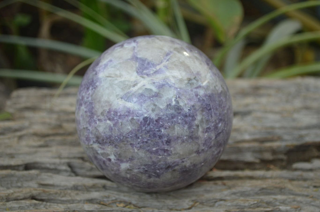 Polished Lepidolite Spheres x 2 From Madagascar - Toprock Gemstones and Minerals 