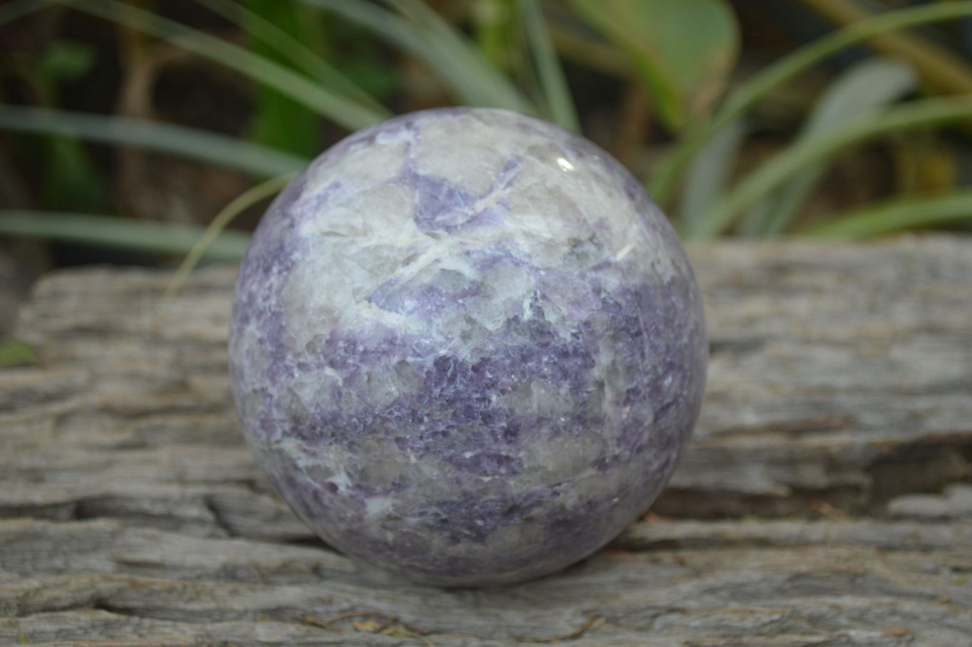 Polished Lepidolite Spheres x 2 From Madagascar - Toprock Gemstones and Minerals 