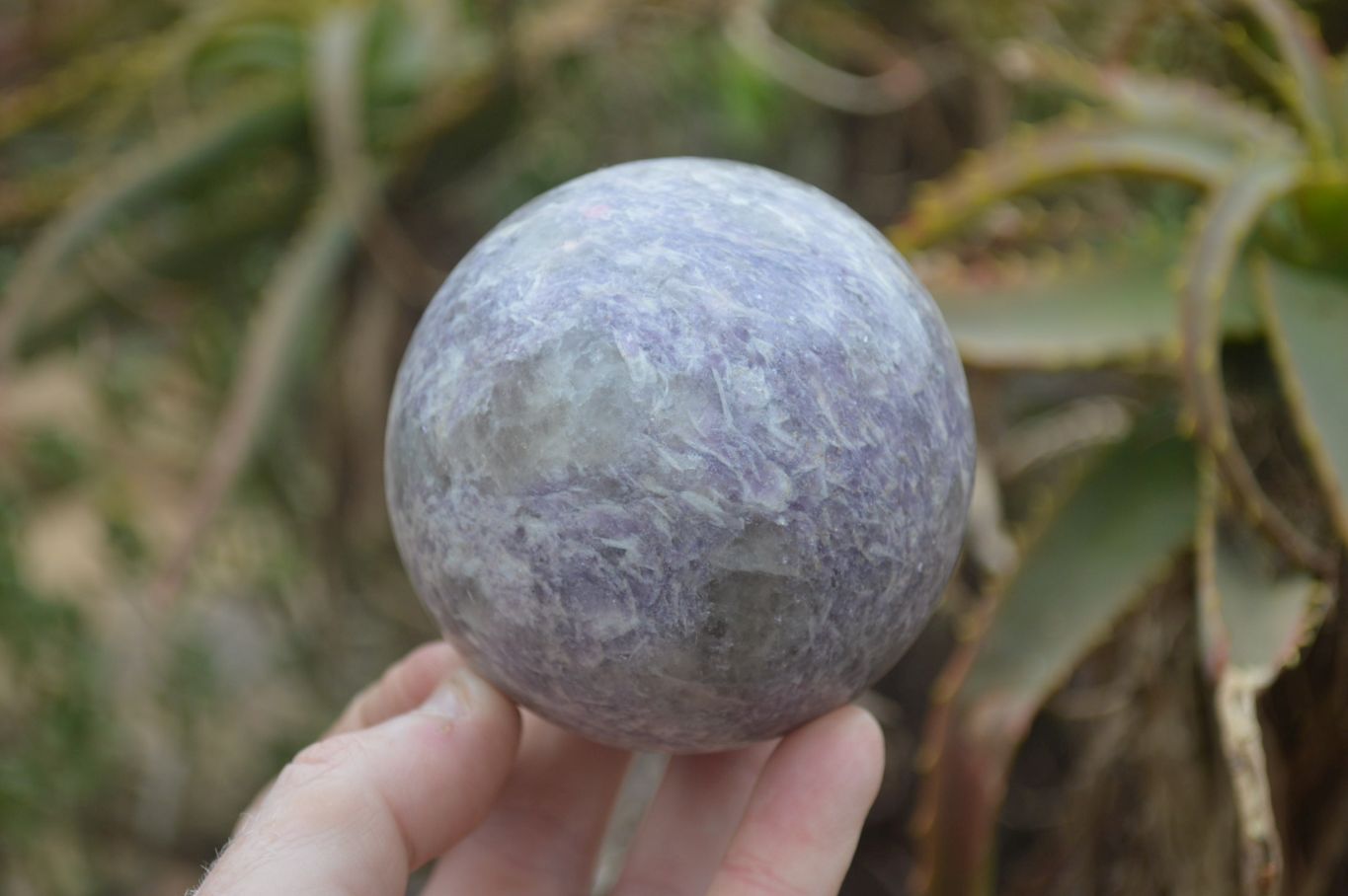 Polished Lepidolite Spheres x 2 From Madagascar - Toprock Gemstones and Minerals 
