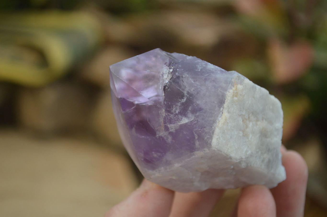 Polished Jacaranda Amethyst Single Crystals x 6 From Mumbwa, Zambia - Toprock Gemstones and Minerals 