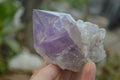 Polished Jacaranda Amethyst Single Crystals x 6 From Mumbwa, Zambia - Toprock Gemstones and Minerals 