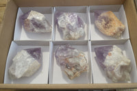 Polished Jacaranda Amethyst Single Crystals x 6 From Mumbwa, Zambia - Toprock Gemstones and Minerals 