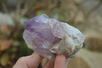 Polished Jacaranda Amethyst Single Crystals x 6 From Mumbwa, Zambia - Toprock Gemstones and Minerals 
