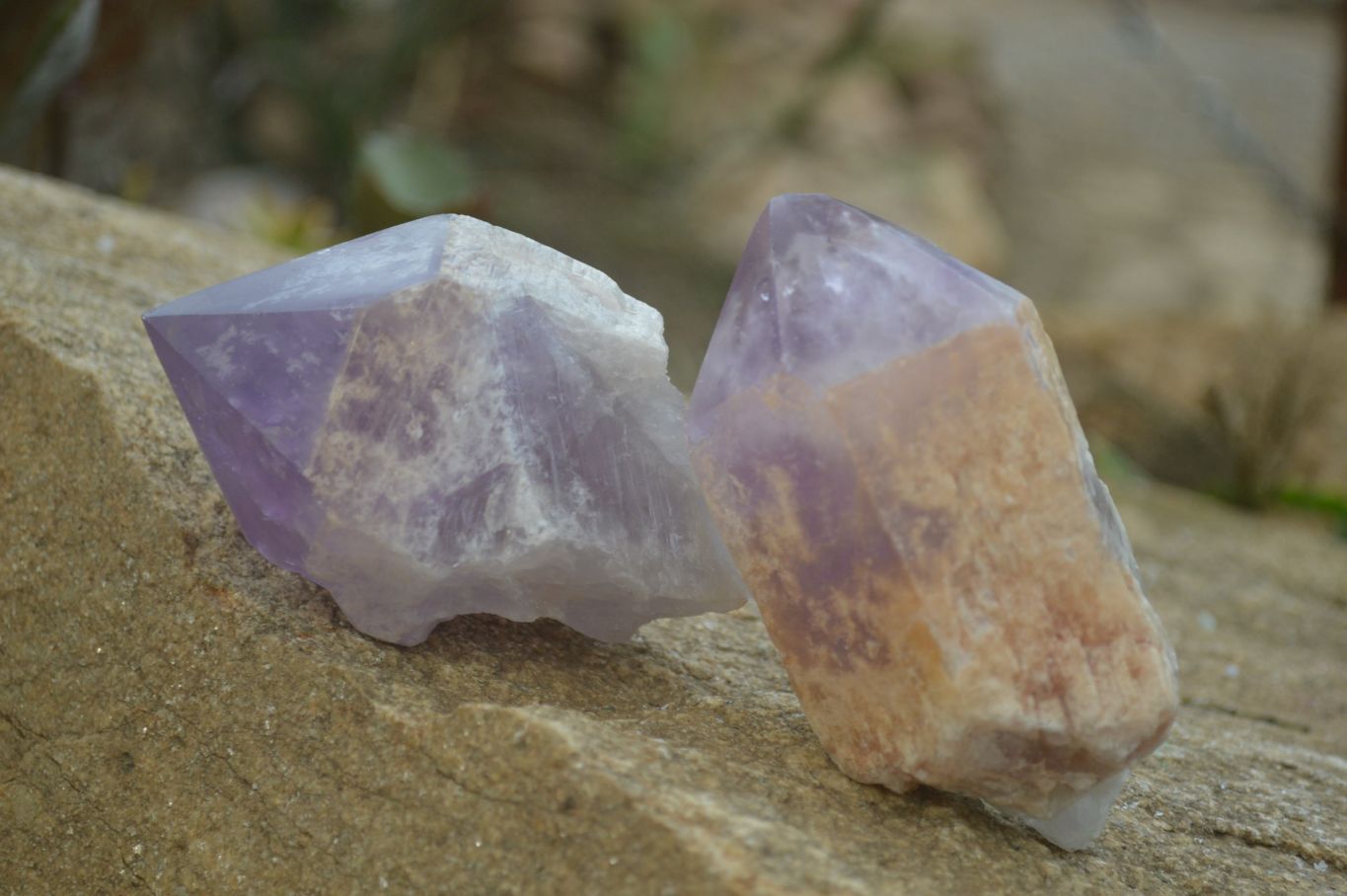 Polished Jacaranda Amethyst Single Crystals x 6 From Mumbwa, Zambia - Toprock Gemstones and Minerals 