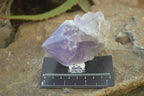 Polished Jacaranda Amethyst Single Crystals x 6 From Mumbwa, Zambia - Toprock Gemstones and Minerals 