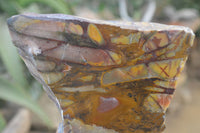Polished On One Side Nguni Jasper Specimens x 2 From Prieska, South Africa - Toprock Gemstones and Minerals 