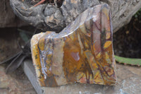 Polished On One Side Nguni Jasper Specimens x 2 From Prieska, South Africa - Toprock Gemstones and Minerals 