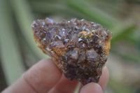 Natural Amethyst Clusters x 35 From Kwaggafontein, South Africa - Toprock Gemstones and Minerals 