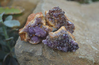 Natural Amethyst Clusters x 35 From Kwaggafontein, South Africa - Toprock Gemstones and Minerals 
