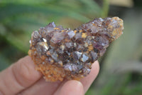 Natural Amethyst Clusters x 35 From Kwaggafontein, South Africa - Toprock Gemstones and Minerals 