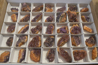 Natural Amethyst Clusters x 35 From Kwaggafontein, South Africa - Toprock Gemstones and Minerals 