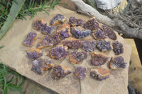 Natural Amethyst Clusters x 35 From Kwaggafontein, South Africa - Toprock Gemstones and Minerals 