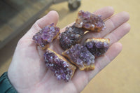 Natural Amethyst Clusters x 35 From Kwaggafontein, South Africa - Toprock Gemstones and Minerals 