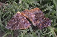 Natural Amethyst Clusters x 35 From Kwaggafontein, South Africa - Toprock Gemstones and Minerals 