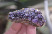 Natural Amethyst Clusters x 35 From Kwaggafontein, South Africa - Toprock Gemstones and Minerals 