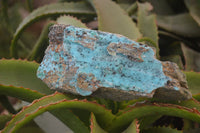 Natural Chrysocolla Dolomite Specimens x 2 From Likasi, Congo - Toprock Gemstones and Minerals 