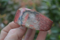 Polished Rhodonite Free Forms x 5 From Zimbabwe - Toprock Gemstones and Minerals 