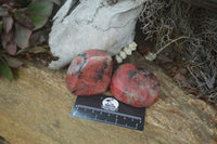 Polished Rhodonite Free Forms x 5 From Zimbabwe - Toprock Gemstones and Minerals 