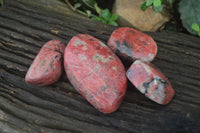 Polished Rhodonite Free Forms x 5 From Zimbabwe - Toprock Gemstones and Minerals 