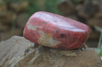 Polished Rhodonite Free Forms x 5 From Zimbabwe - Toprock Gemstones and Minerals 